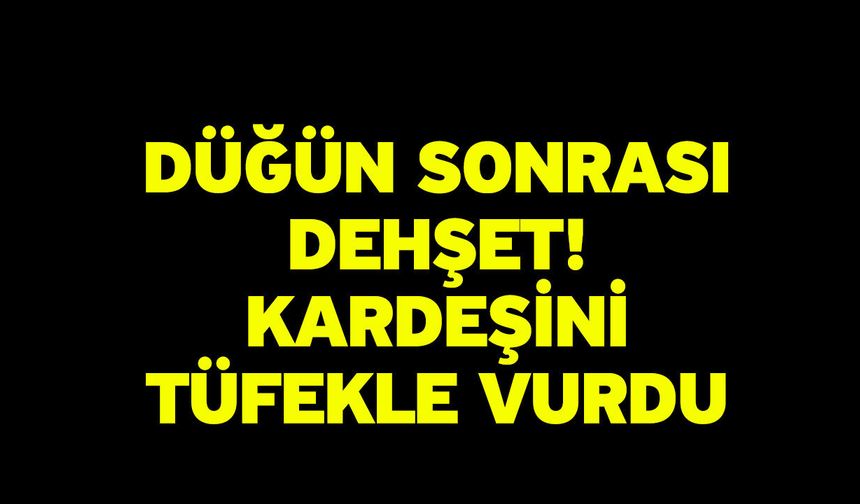 Düğün Sonrası Dehşet! Kardeşini Tüfekle Vurdu