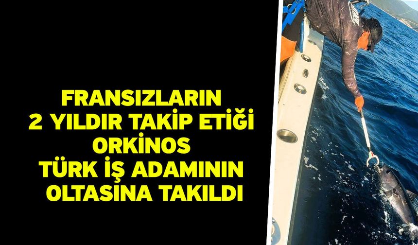 Fransızların 2 yıldır takip etiği orkinos Türk iş adamının oltasına takıldı