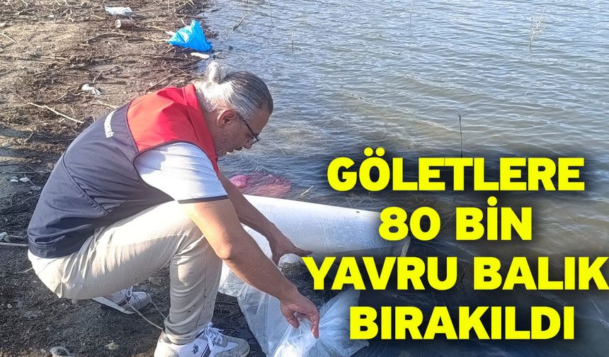 Göletlere 80 bin yavru balık bırakıldı