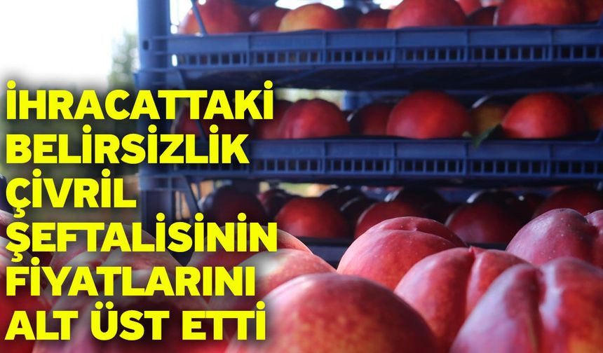 İhracattaki belirsizlik Çivril şeftalisinin fiyatlarını alt üst etti
