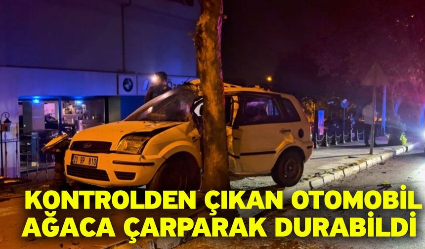 Kontrolden çıkan otomobil ağaca çarparak durabildi