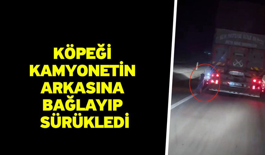 Köpeği kamyonetin arkasına bağlayıp sürükledi