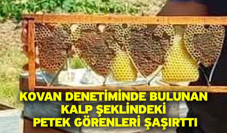 Kovan denetiminde bulunan kalp şeklindeki petek görenleri şaşırttı
