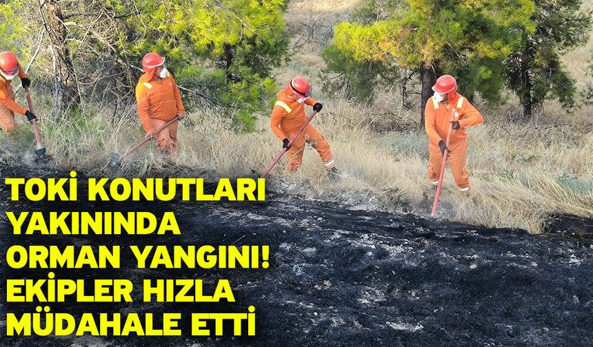 TOKİ Konutları Yakınında Orman Yangını! Ekipler Hızla Müdahale Etti