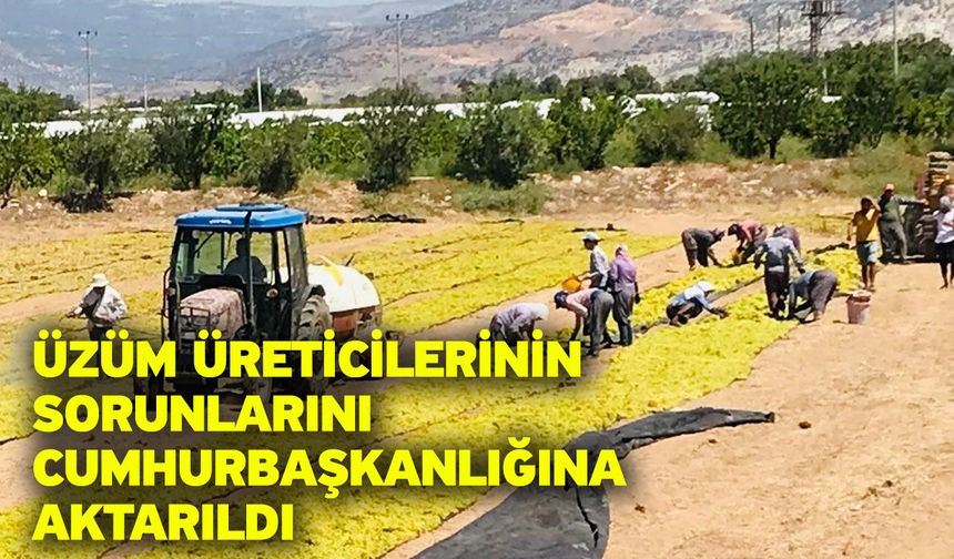 Üzüm üreticilerinin sorunlarını Cumhurbaşkanlığına aktarıldı