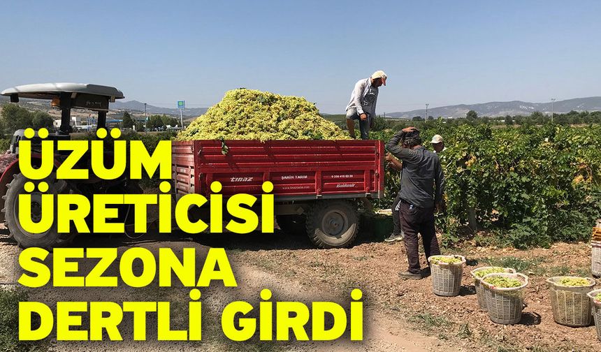 Üzüm üreticisi sezona dertli girdi