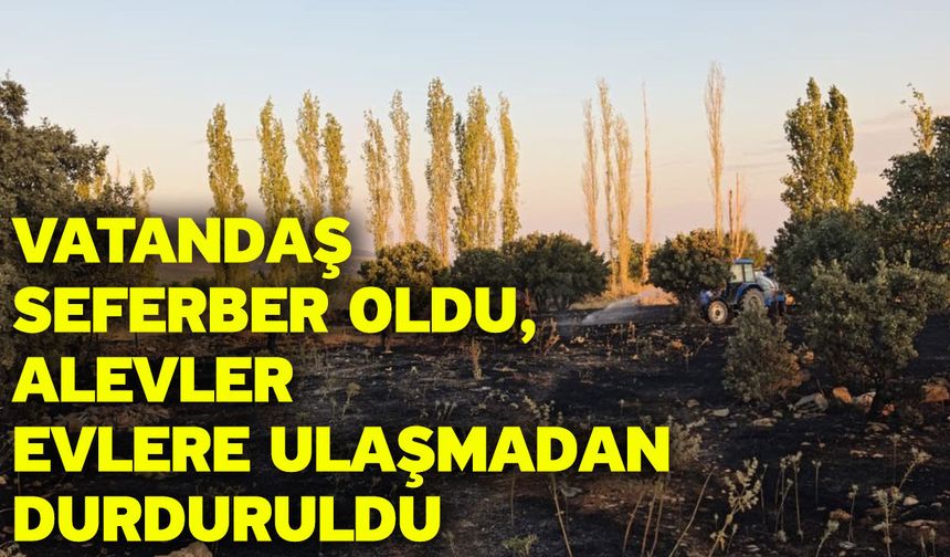 Vatandaş seferber oldu, alevler evlere ulaşmadan durduruldu