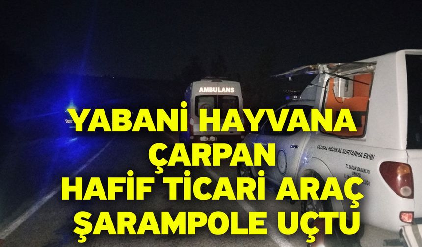 Yabani hayvana çarpan hafif ticari araç şarampole uçtu