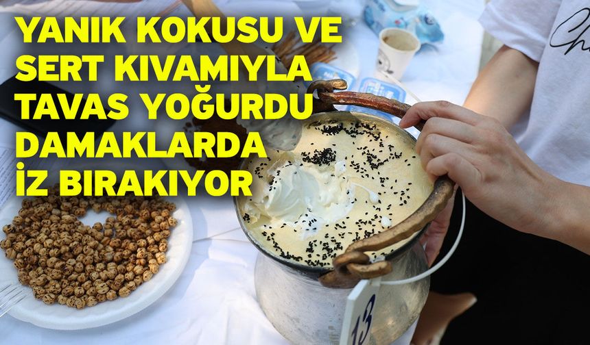 Yanık kokusu ve sert kıvamıyla Tavas yoğurdu damaklarda iz bırakıyor