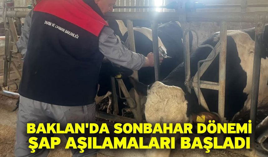 Baklan'da sonbahar dönemi şap aşılamaları başladı