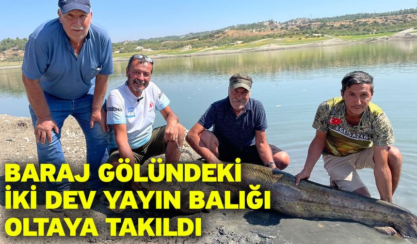 Baraj gölündeki iki dev yayın balığı oltaya takıldı