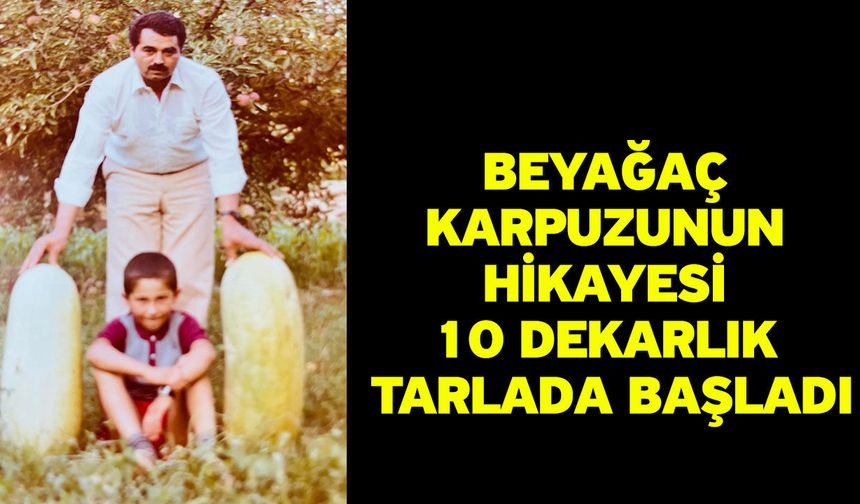 Beyağaç karpuzunun hikayesi 10 dekarlık tarlada başladı