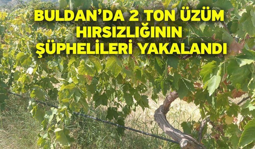 Buldan’da 2 ton üzüm hırsızlığının şüphelileri yakalandı