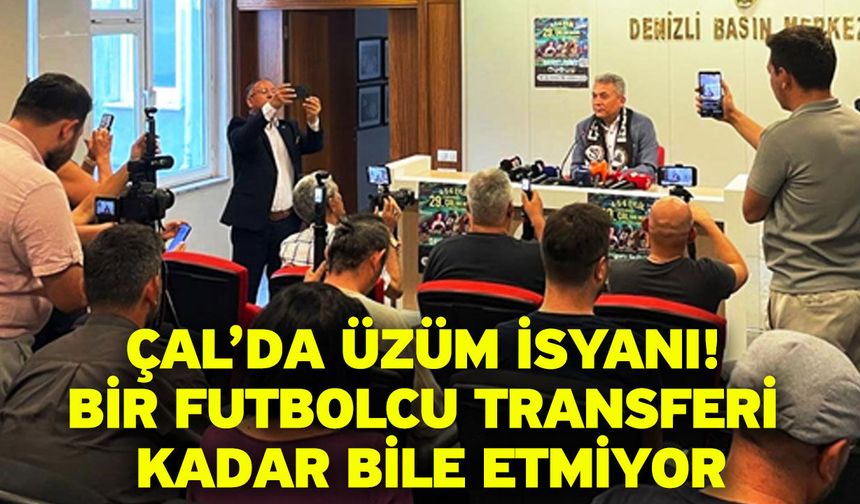 Çal’da üzüm isyanı! Bir futbolcu transferi kadar bile etmiyor