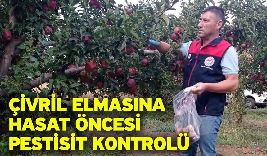 Çivril elmasına hasat öncesi pestisit kontrolü