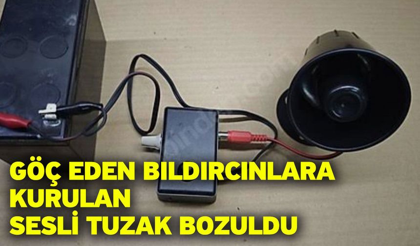 Göç eden bıldırcınlara kurulan sesli tuzak bozuldu