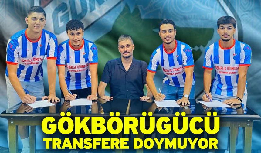 Gökbörügücü transfere doymuyor