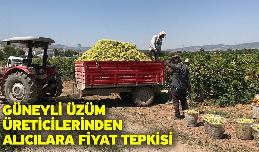 Güneyli üzüm üreticilerinden alıcılara fiyat tepkisi