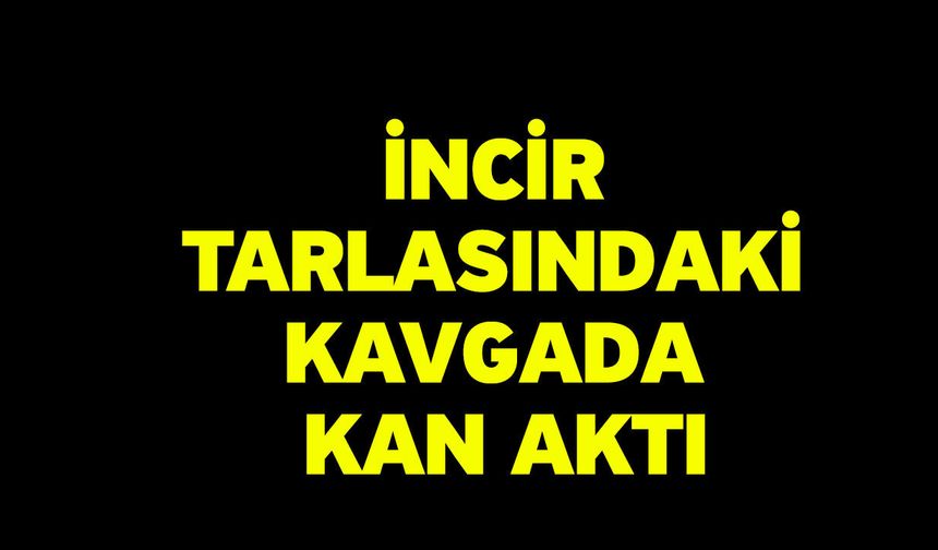 İncir tarlasındaki kavgada kan aktı