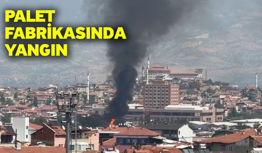 Palet fabrikasında yangın