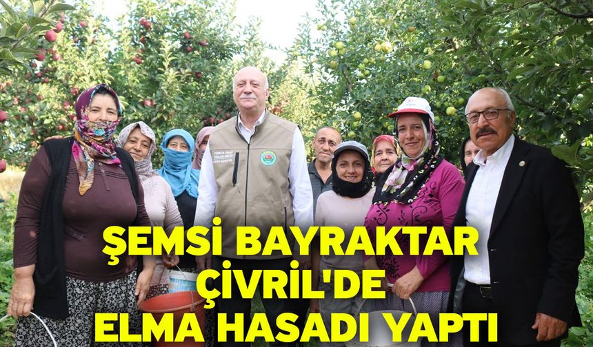 Şemsi Bayraktar Çivril'de elma hasadı yaptı
