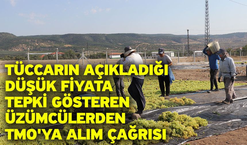Tüccarın açıkladığı düşük fiyata tepki gösteren üzümcülerden TMO'ya alım çağrısı