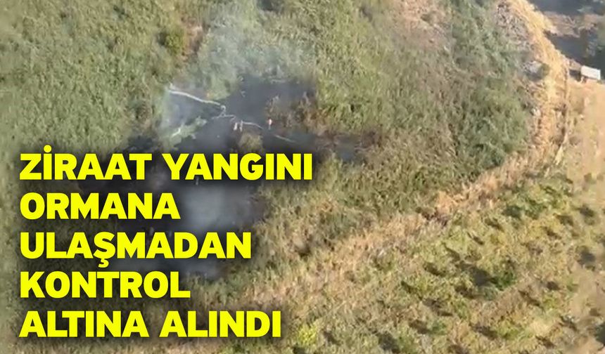 Ziraat yangını ormana ulaşmadan kontrol altına alındı