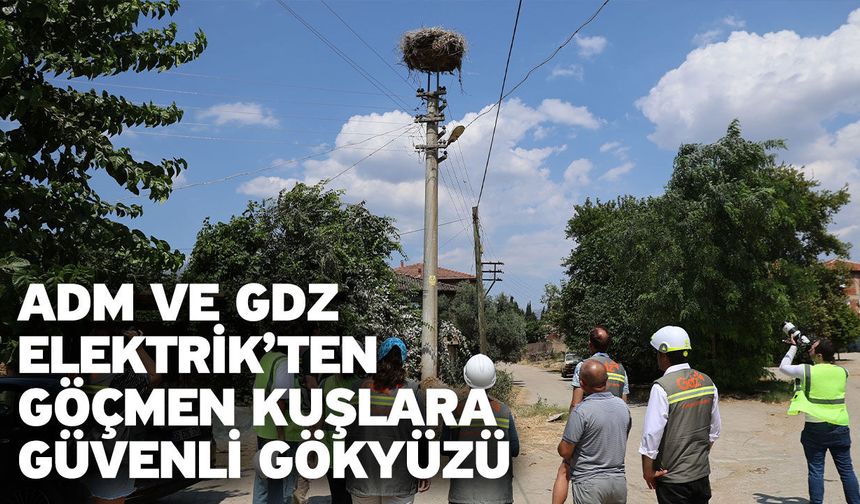 Adm ve Gdz Elektrik’ten göçmen kuşlara güvenli gökyüzü