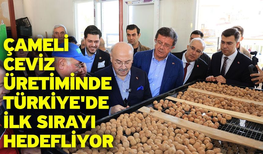 Çameli ceviz üretiminde Türkiye'de ilk sırayı hedefliyor