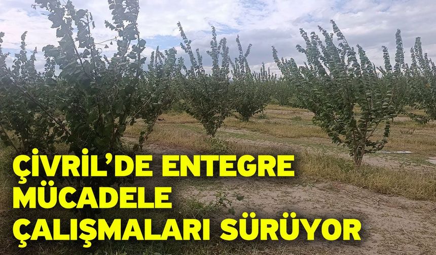 Çivril’de entegre mücadele çalışmaları sürüyor