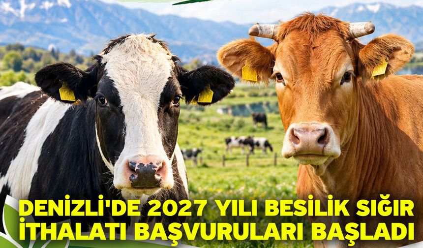 Denizli'de 2027 Yılı Besilik Sığır İthalatı Başvuruları Başladı