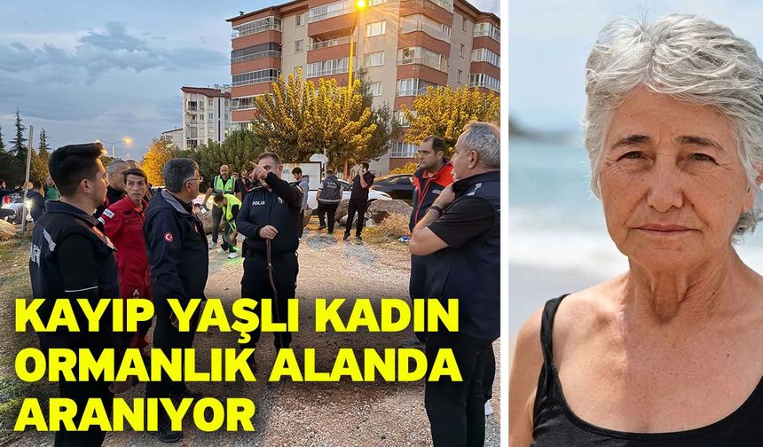 Kayıp yaşlı kadın ormanlık alanda aranıyor