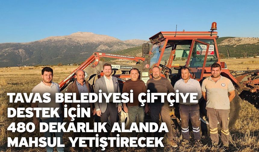 Tavas Belediyesi çiftçiye destek için 480 dekarlık alanda mahsul yetiştirecek