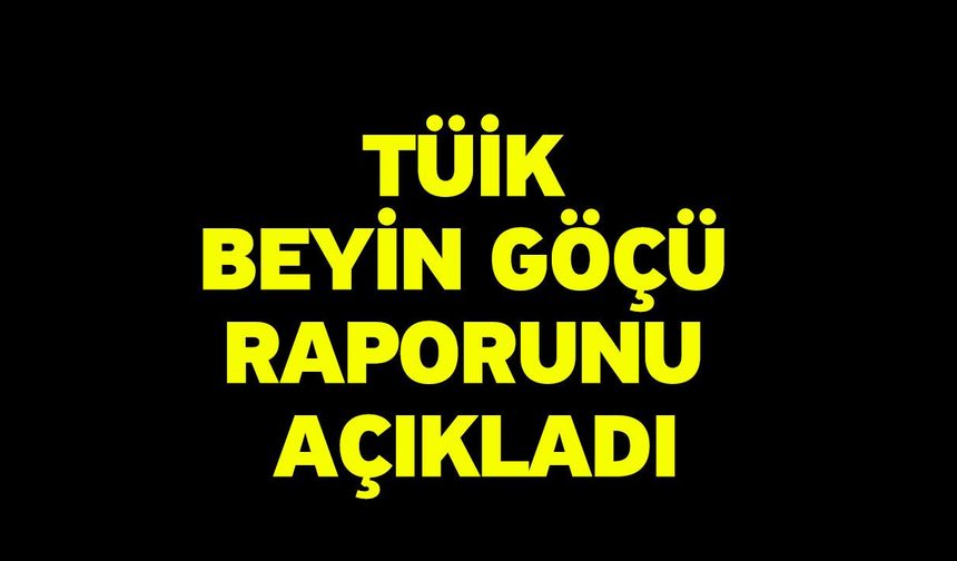 TÜİK Beyin Göçü Raporunu Açıkladı