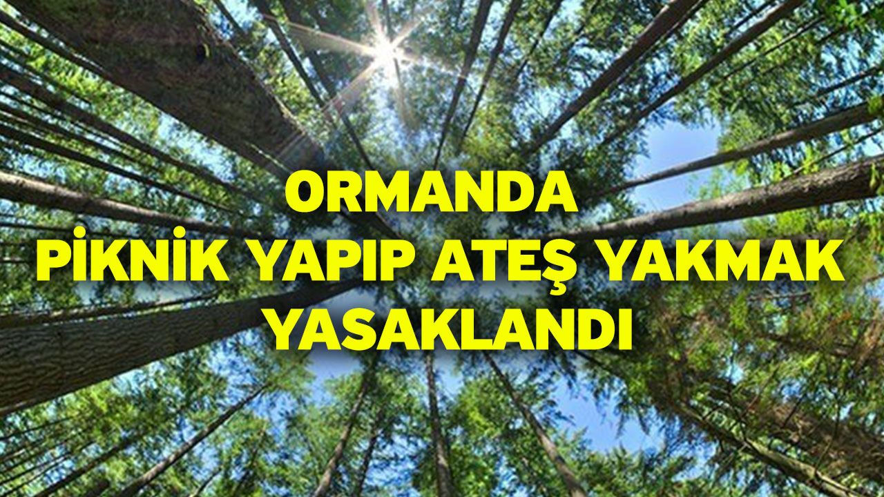 Ormanda Spor Yaparken