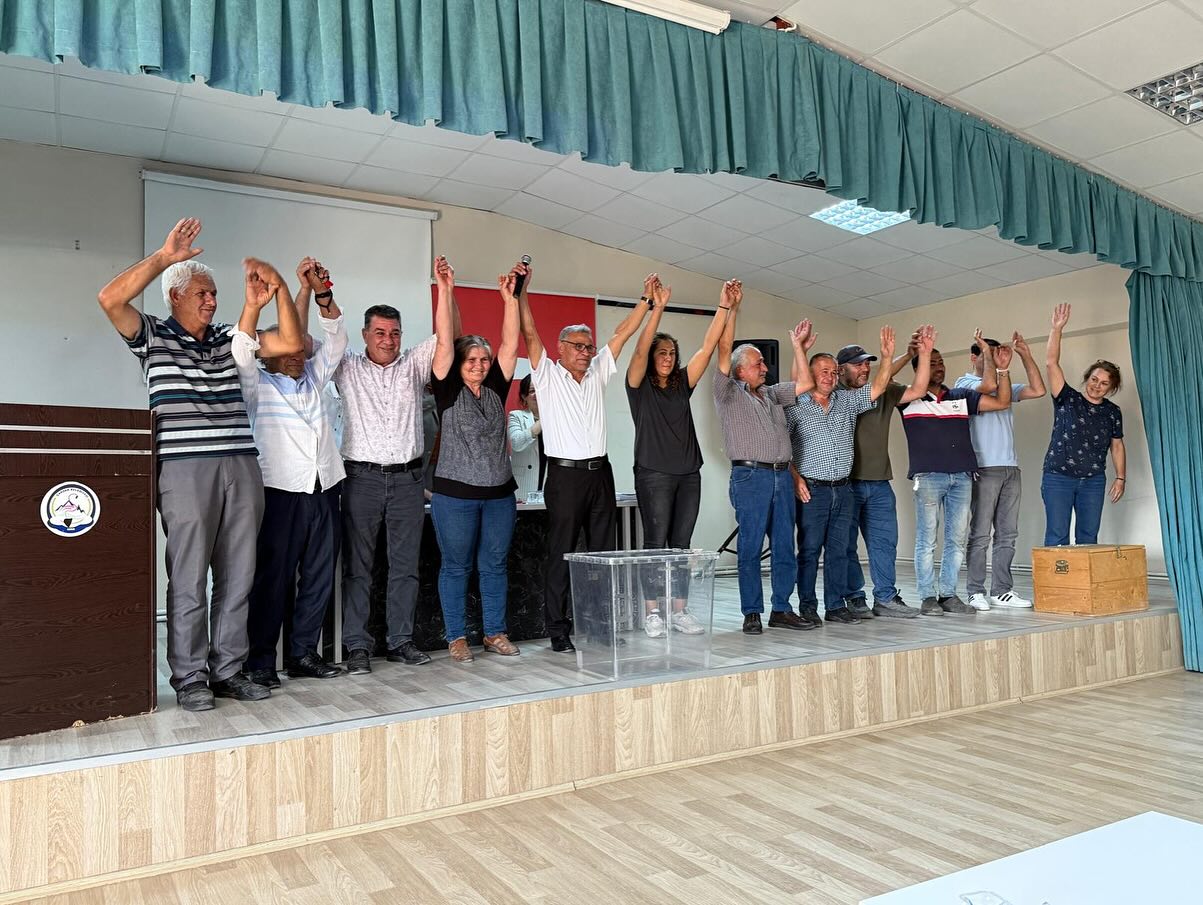 549377481 18475528816078196 8771396930593408464 N