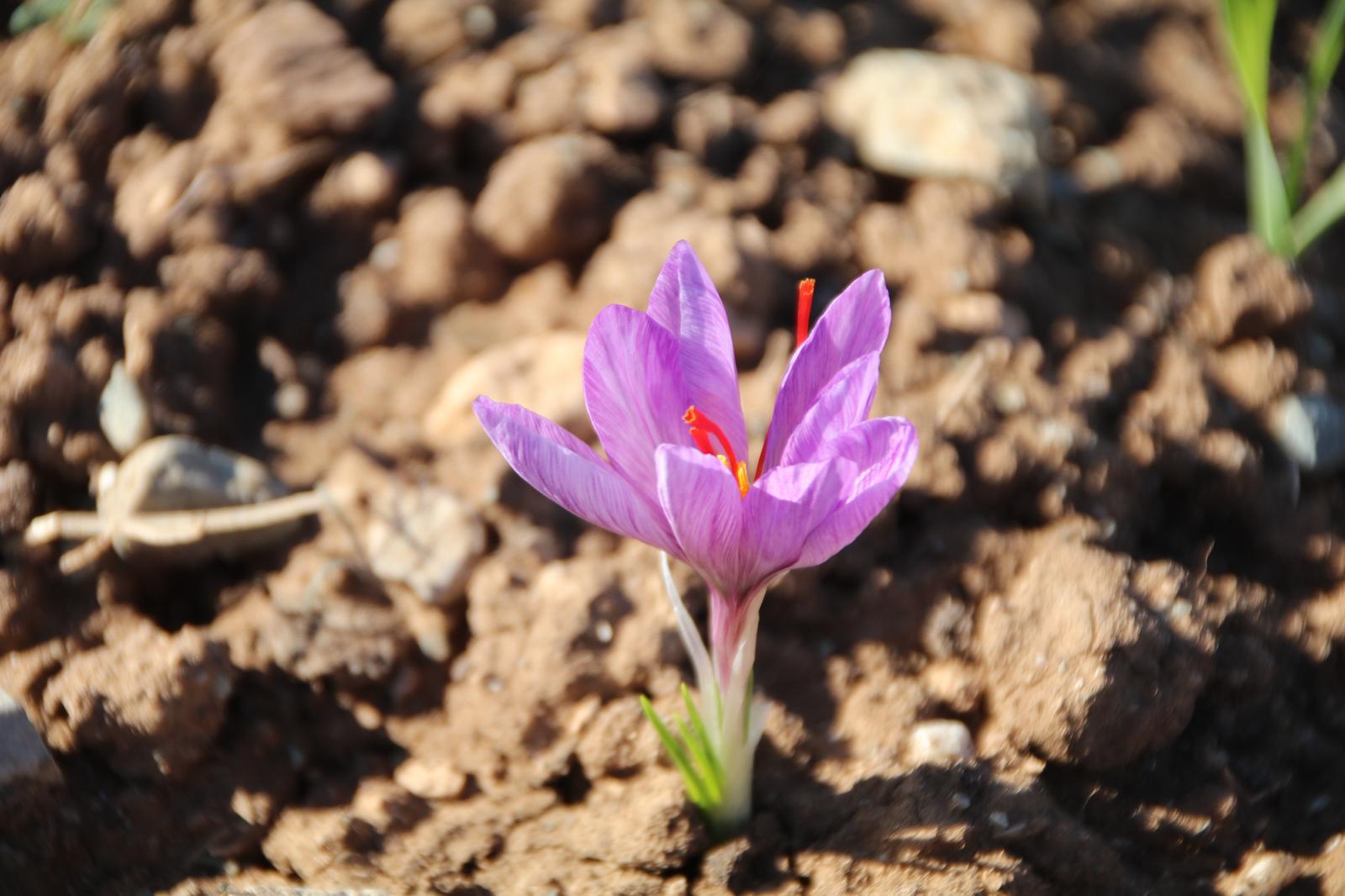 Whatsapp Image 2025 11 15 At 17.04.39 (1)