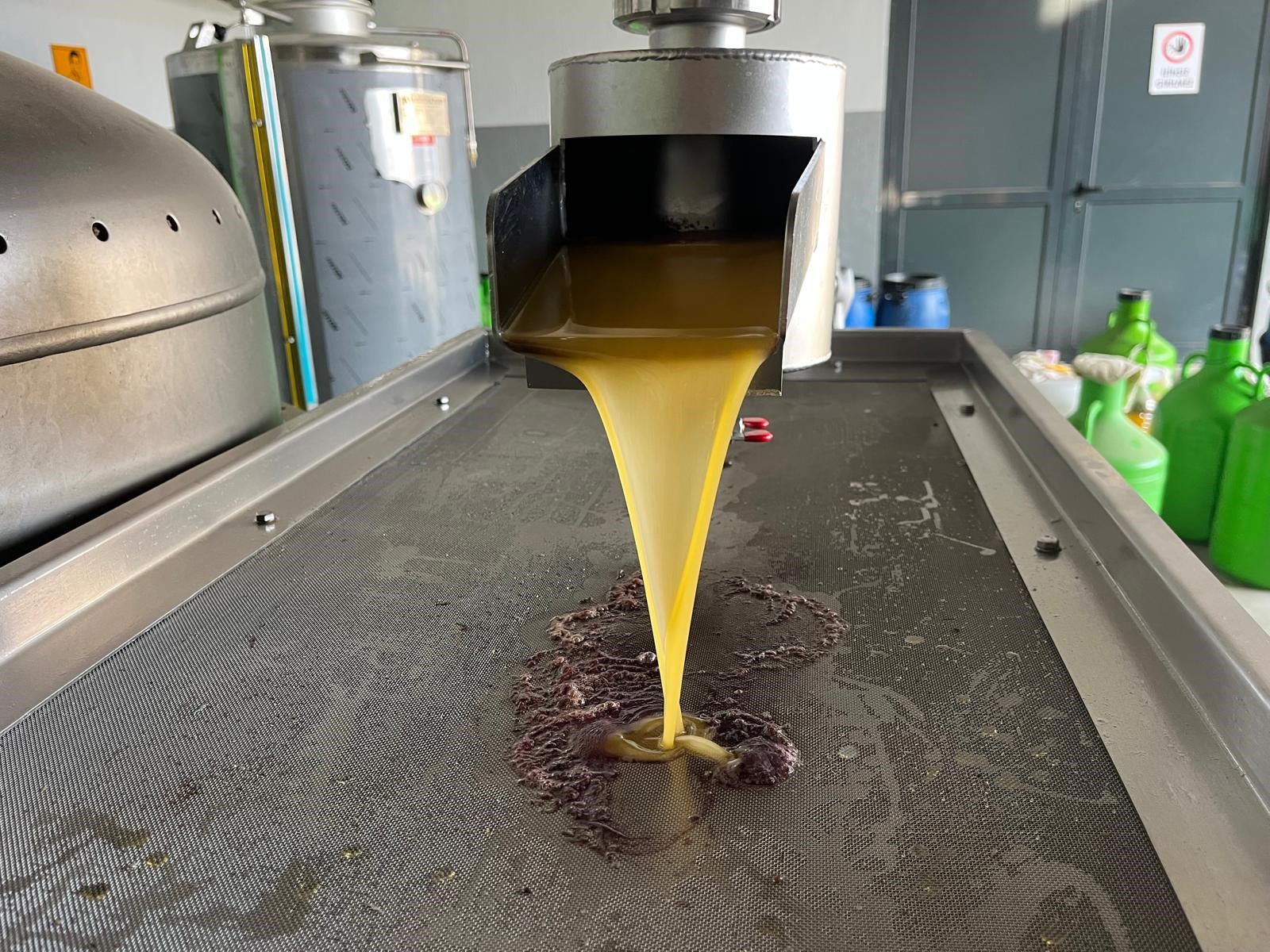 Kara Meyve Altın Sıvıya Dönüşüyor (2)