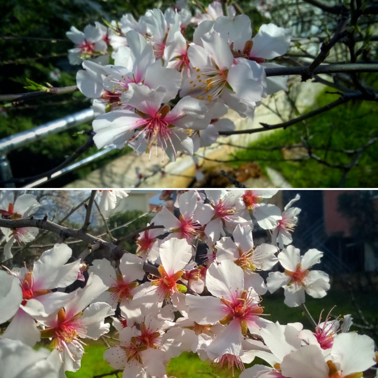 Whatsapp Image 2026 02 20 At 17.47.35 (1)