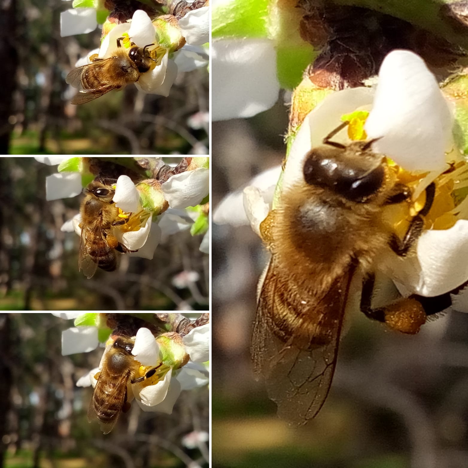 Whatsapp Image 2026 02 20 At 17.47.35