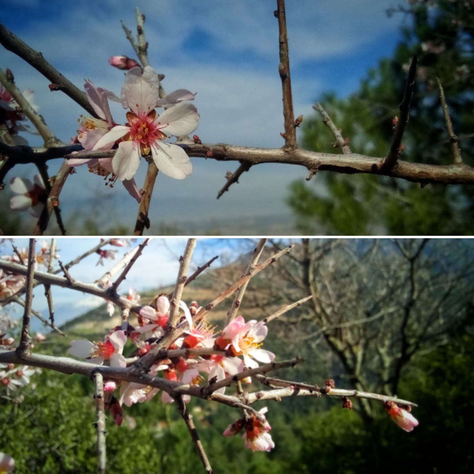 Whatsapp Image 2026 02 20 At 17.47.36 (1)