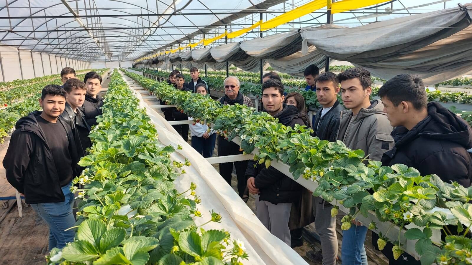 650238082 26151282834527858 2262585921665217268 N