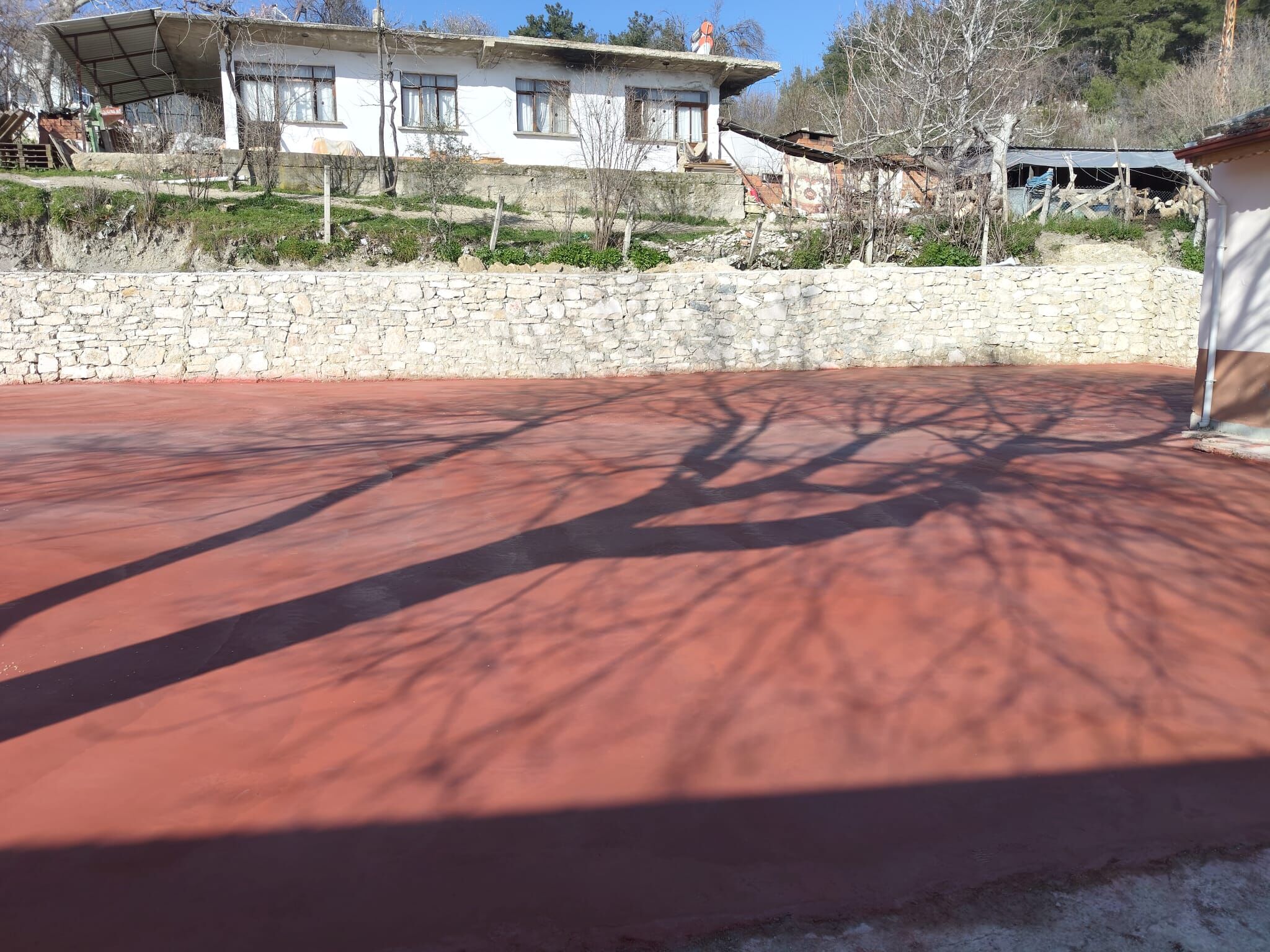 Whatsapp Image 2026 03 13 At 10.15.11