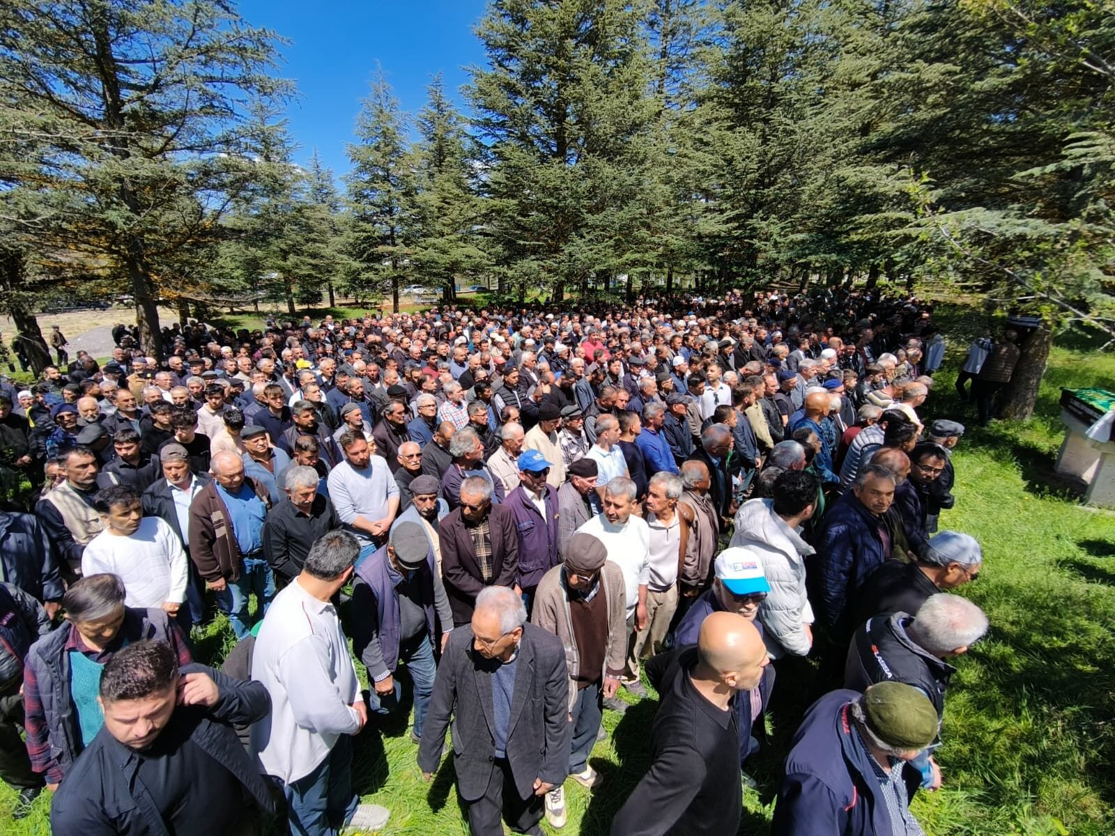 Whatsapp Image 2026 04 29 At 15.31.31