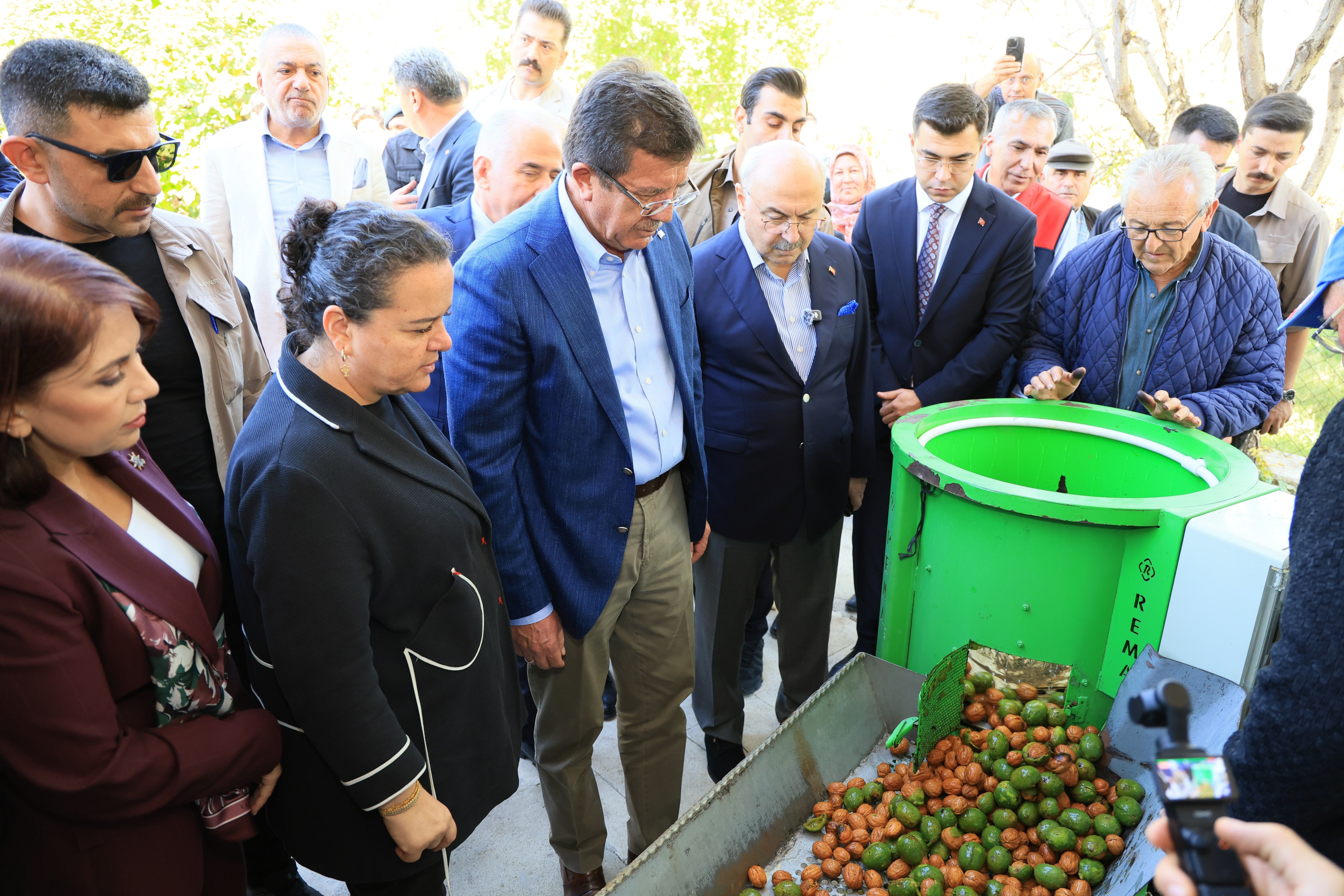 Çameli̇ Cevi̇z Üreti̇mi̇nde Türki̇ye'de İlk Sirayi Hedefli̇yor (2)